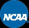 sports area rugs, montclair NJ