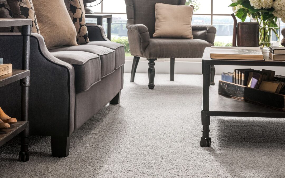 Shaw Carpet Cleaning